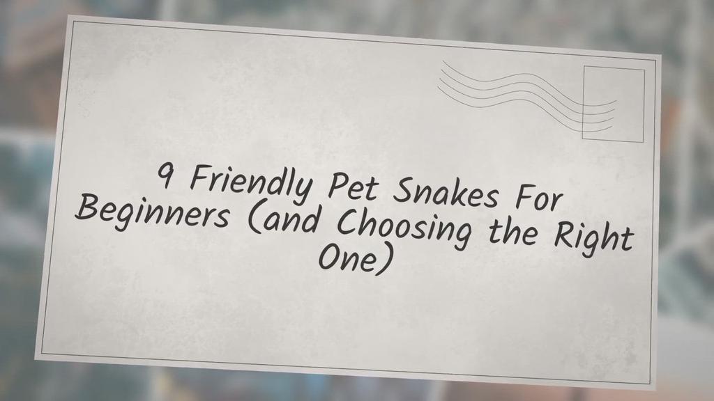 'Video thumbnail for 9 Friendly Pet Snakes For Beginners (and Choosing the Right One)'