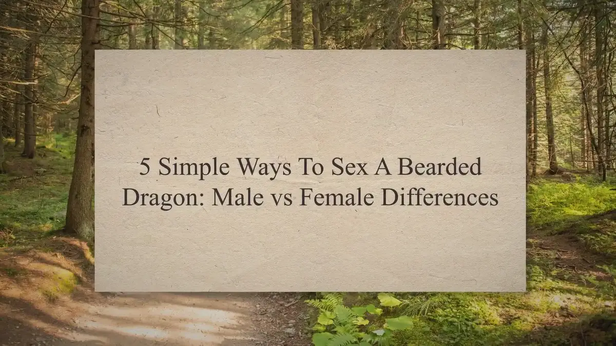'Video thumbnail for 5 Simple Ways To Sex A Bearded Dragon: Male vs Female Differences'