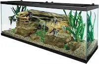 Tetra 55-Gallon Turtle Aquarium Kit